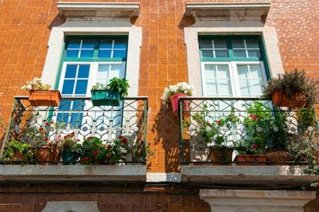 two windows with plants on balconies